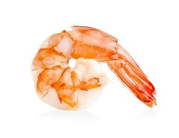 shrimp isolated on white background ,include clipping path photo