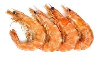 roasted prawn isolated on white background ,grilled shrimp photo