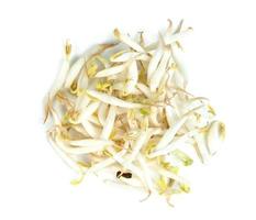 Bean Sprouts isolated on white background photo