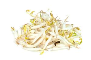 Bean Sprouts isolated on white background photo