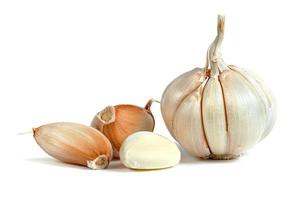 garlic isolated on white background photo