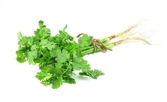 leaf Coriander or Cilantro isolated on white background ,Green leaves pattern photo