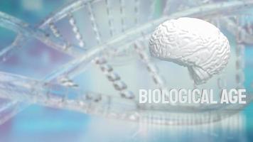 The brain and biological age on dna background for sci or medical concept 3d rendering photo