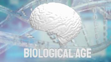 The brain and biological age on dna background for sci or medical concept 3d rendering photo