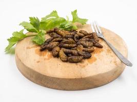 Fried insects. Protein rich food. photo