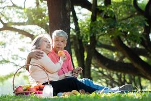 Happy old elderly couple spouses relaxing and sitting on a blanket in the park and sharing few precious memories. Senior couple having great time together on a picnic. concept of mature relationships photo