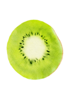 akvarell kiwi frukt png