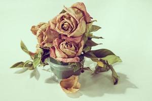 Dry rose flower.vintage tone photo