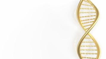 The gold dna on white background  for sci or education concept 3d rendering photo