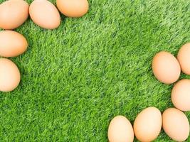 fresh eggs on grass background. photo