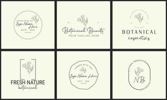 logotipo dibujado a mano con elementos florales botánicos con flores silvestres y hojas. logo para spa y salón de belleza, boutique, tienda orgánica, boda, diseñador floral, interior, fotografía, cosmética. vector