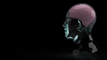 el cerebro dentro de la cabeza de cristal para la educación o la representación 3d de contenido científico foto