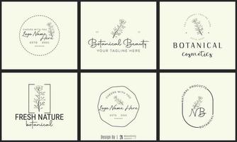 logotipo dibujado a mano con elementos florales botánicos con flores silvestres y hojas. logo para spa y salón de belleza, boutique, tienda orgánica, boda, diseñador floral, interior, fotografía, cosmética. vector