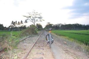 bicicletas en el sendero junto a las antiguas vías del tren llenas de matorrales foto