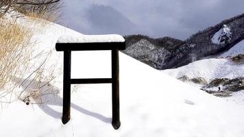 Snow and blank signage in the forest snow winte photo