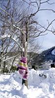 Snow gloves hanging with the tree in the forest Noboribetsu onsen photo