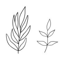 Leaves simple outline vector minimalist concept illustration, thin line hand drawn floral branch, element for invitations, greeting cards, booklet design