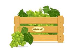 Wooden box with grapes. Fruit box icon. Vector illustration isolated on white background.