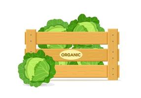 caja de madera con repollo. icono de caja de verduras. ilustración vectorial aislado sobre fondo blanco. vector