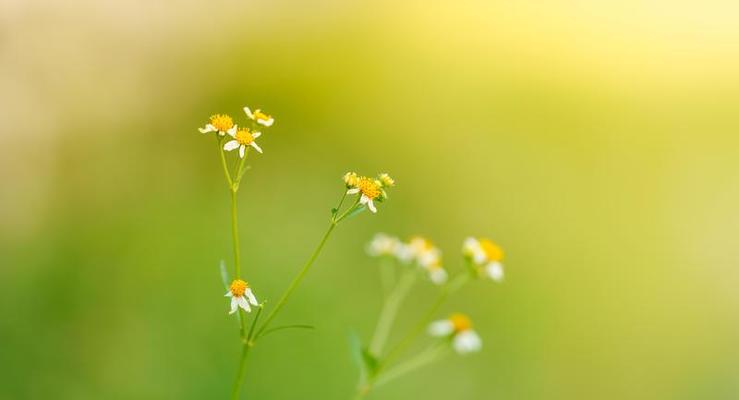 Cover Page Landscape Stock Photos, Images and Backgrounds for Free Download