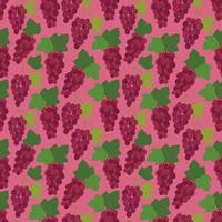 Grape seamless pattern for your design. Vector illustration. Seamless pattern texture design.