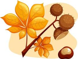 Branch of chestnuts with leaves vector