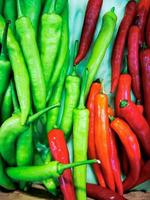 The Green Hot Chili and Red Hot Hot Chili photo