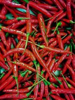 The Fresh Red Chili photo