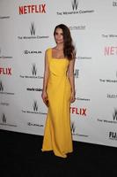 LOS ANGELES, JAN 11 - Emily Ratajkowski at the The Weinstein Company  Netflix Golden Globes After Party at a Beverly Hilton Adjacent on January 11, 2015 in Beverly Hills, CA photo