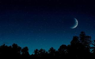 starry sky with the moon and silhouette of the jungle photo