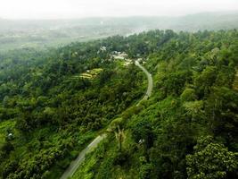Road in forest aerial view photo