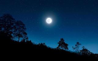 Dark night in forest with full moon photo