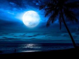 playa luz de la luna noche paisaje foto