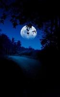 Moon in night sky photo