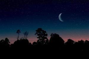 cielo estrellado con media luna y silueta de los árboles foto