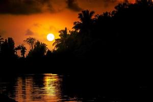 la puesta de sol y la sombra en el agua con la silueta de los árboles foto