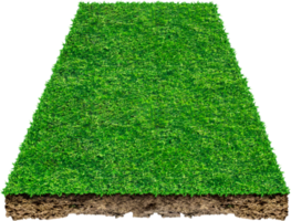 3d green grass field png