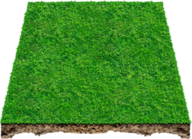 3d green grass field png