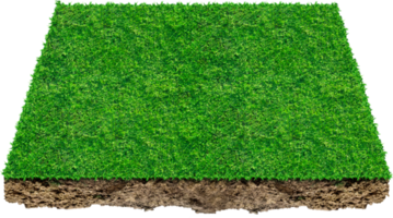 3D-groen grasveld png