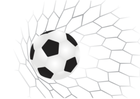 pallone da calcio in porta con rete png