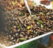 Coleoptera Fried insects Entomophagy photo