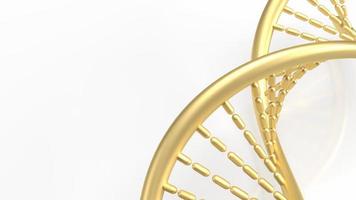 The gold dna on white background  for sci or education concept 3d rendering photo