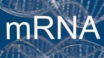 The mrna or messenger Ribonucleic Acid white text for medical or outbreak concept 3d rendering photo