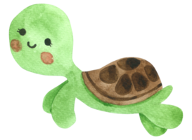 acquerello carino cartone animato tartaruga png
