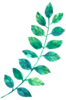 Green Leaf watercolor png