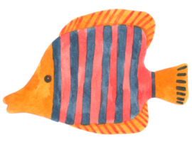 niedliches aquarell der fischkarikatur png