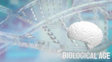 The brain and biological age on dna background for sci or medical concept 3d rendering photo