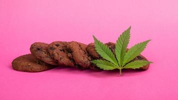 thc cookies cannabis marijuana food on pink background photo