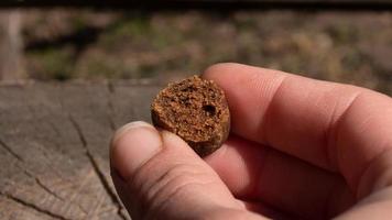 piece of hashish in hand, cannabis chocolate concentrate closeup photo