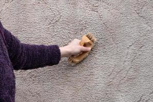 brushing a light-colored carpet with detergent photo